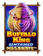 เทคนิคเล่นพี่โจ๊กพาเบทให้ได้กำไรแบบนักเดิมพันมือใหม่